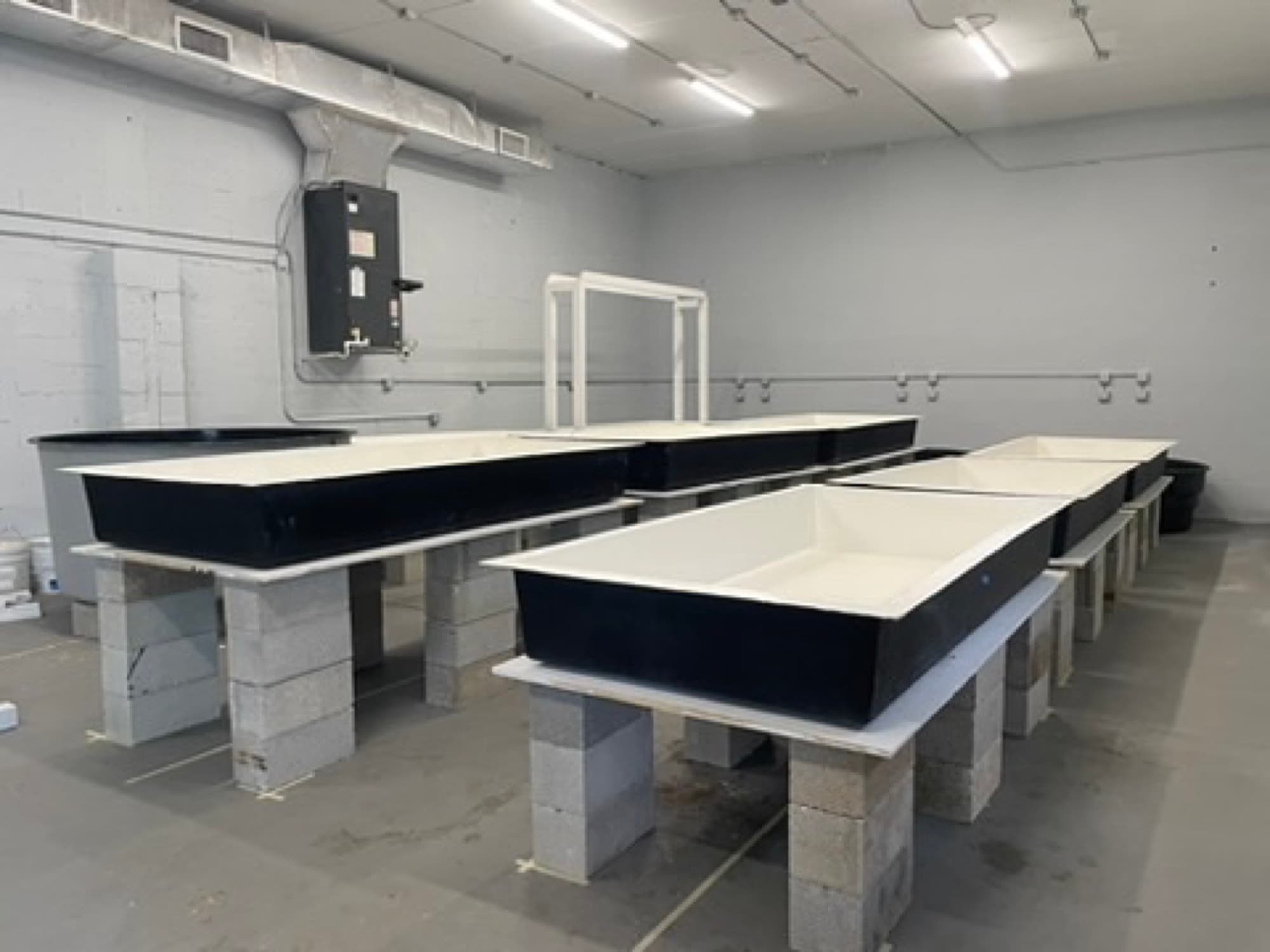 The finished indoor coral grow-out lab with fiberglass tanks