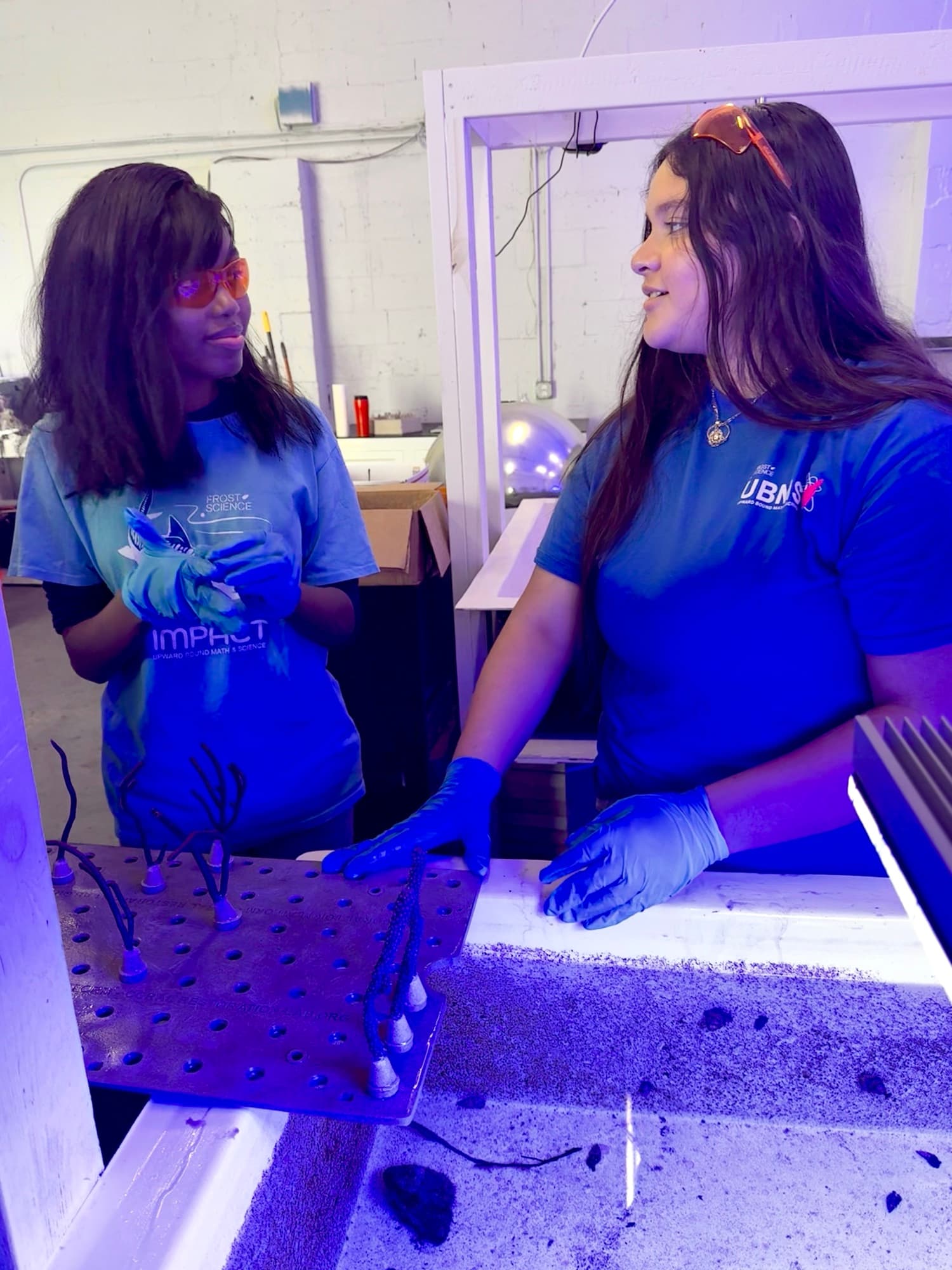 Team working hands-on in the Native Coral Lab