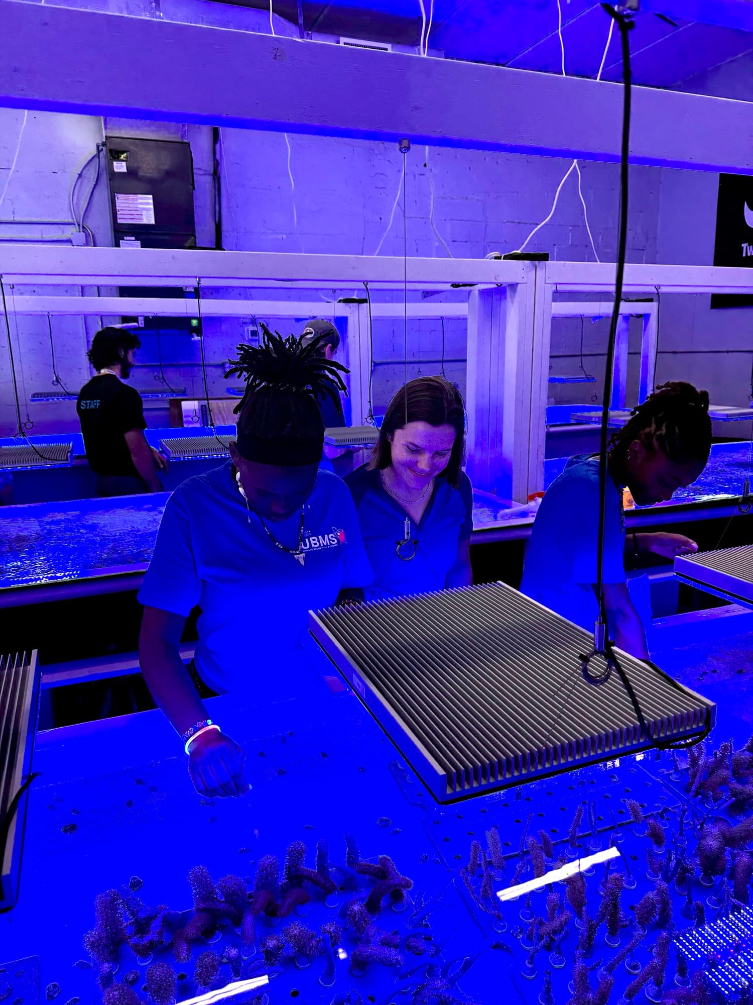 Inside the active Miami coral operation