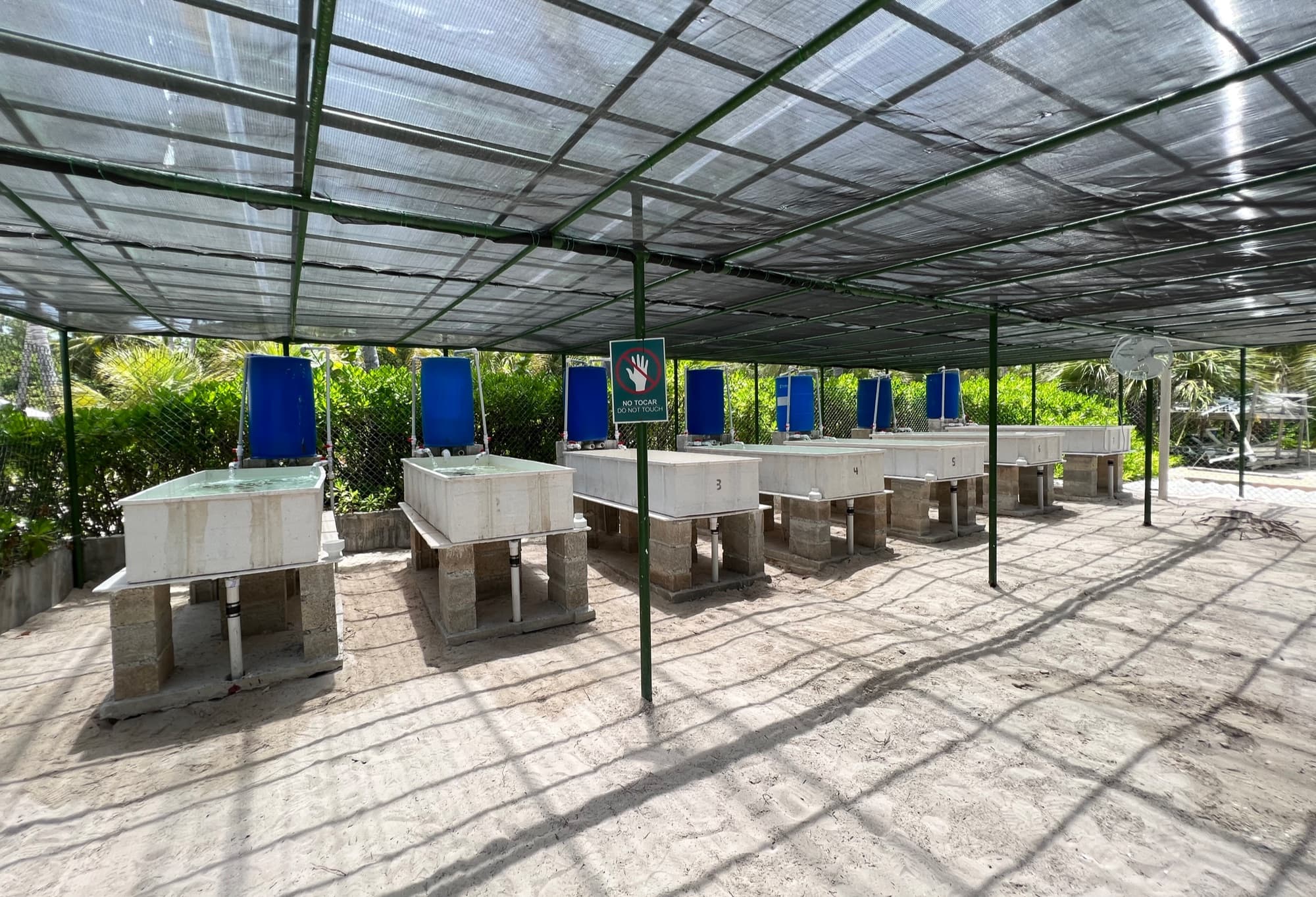 Outdoor greenhouse grow-out system at Centro de Innovación Marino, Punta Cana