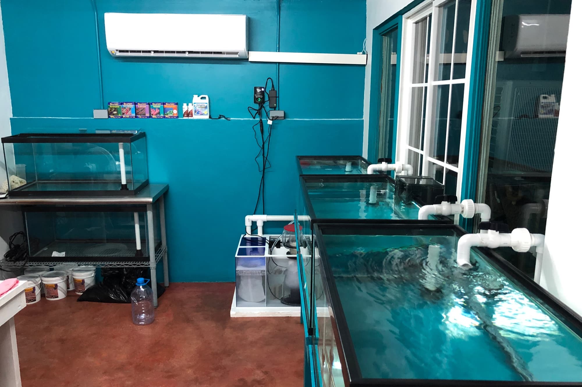 Coral laboratory at the Alligator Head Foundation, Jamaica