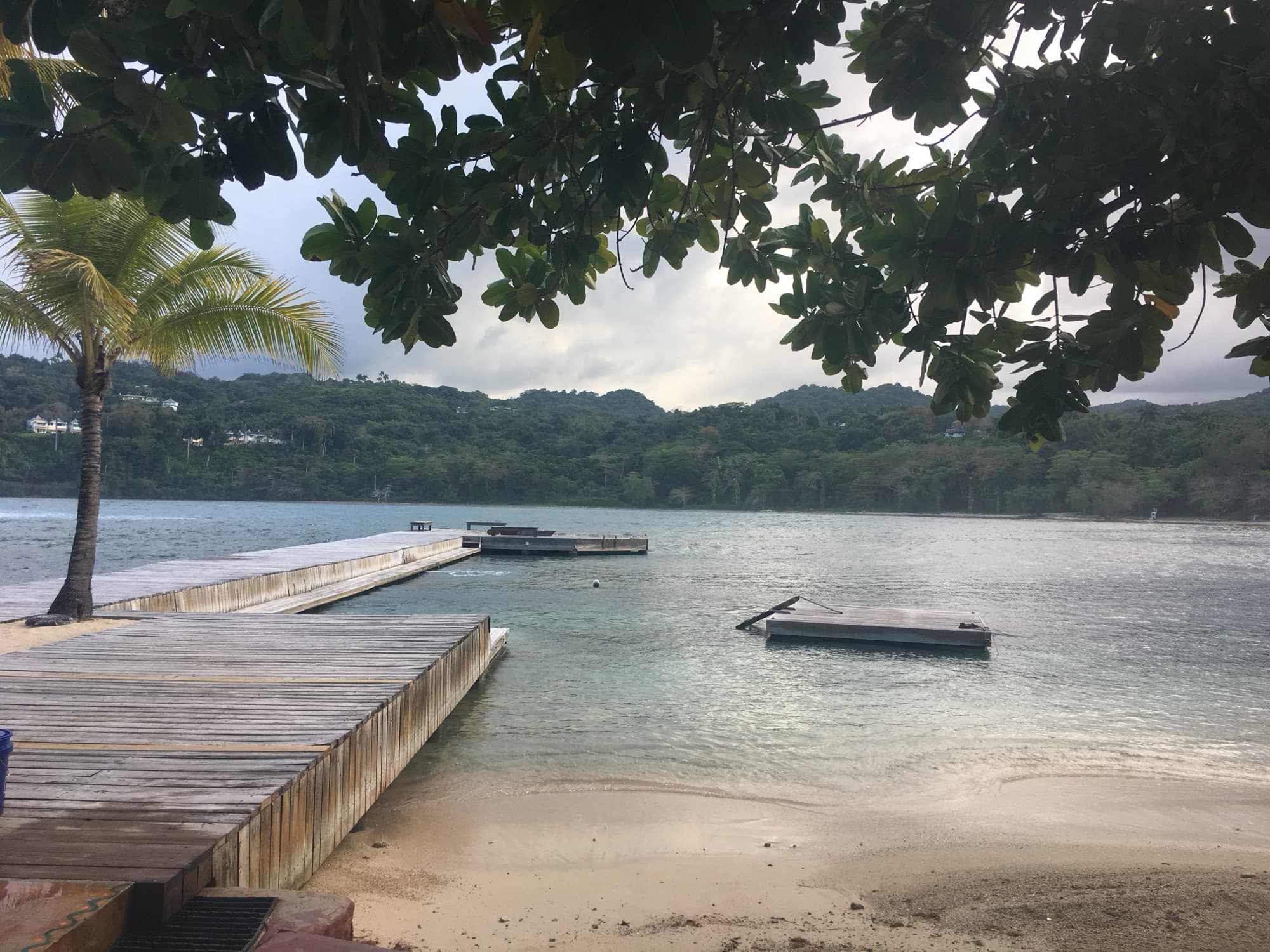 Alligator Head Foundation coral lab in Jamaica